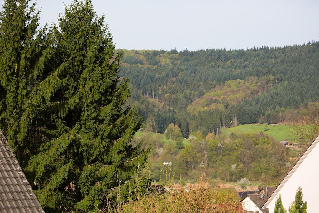 Schoene Aussicht Seelbach  Kamer foto